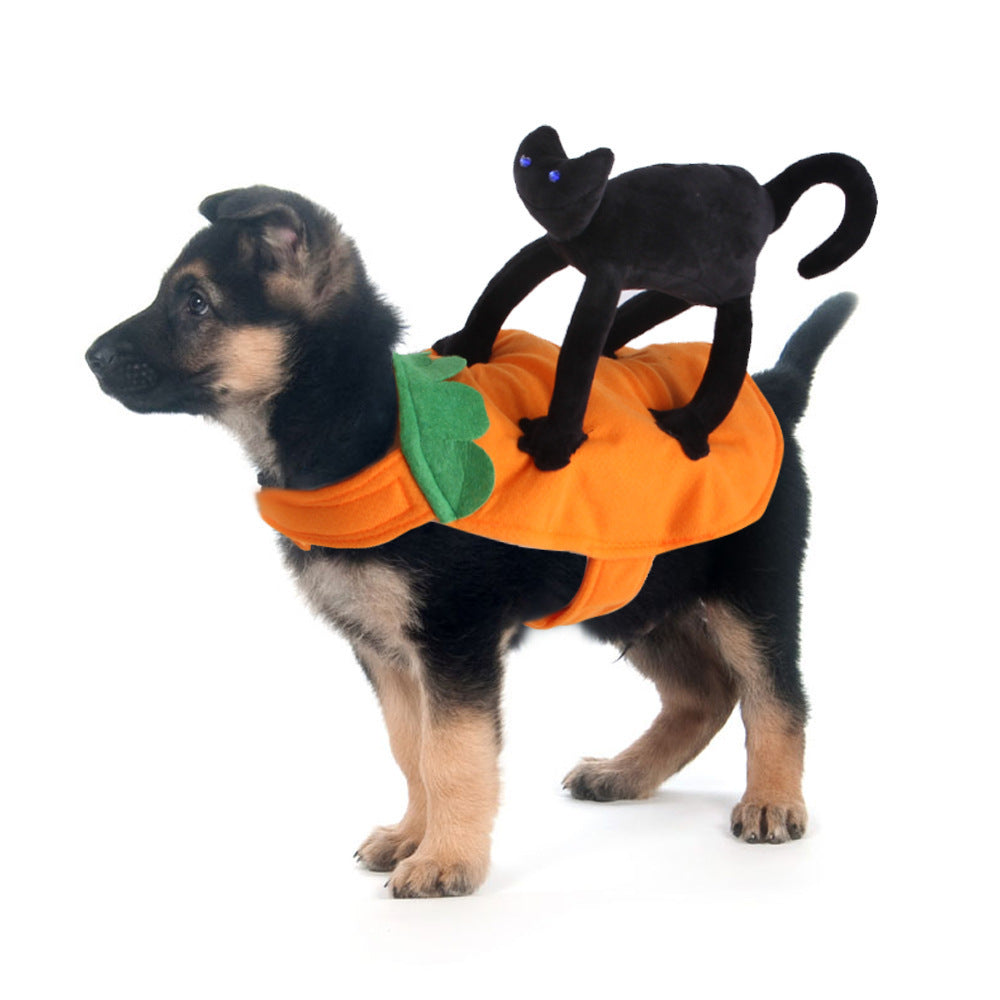 Pet Halloween Costume