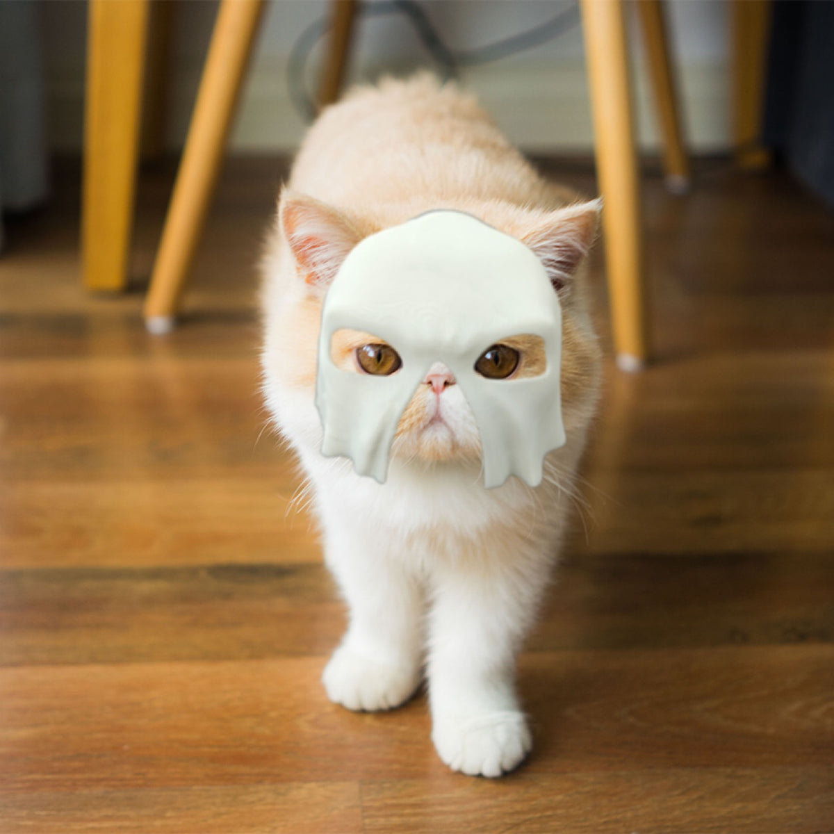 pet halloween mask