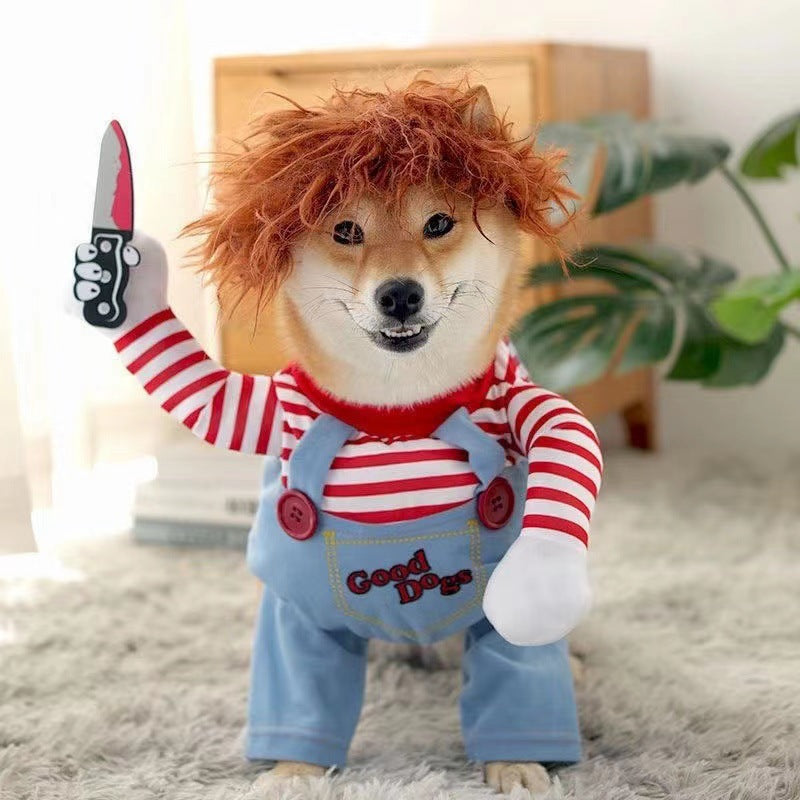 Pet costume