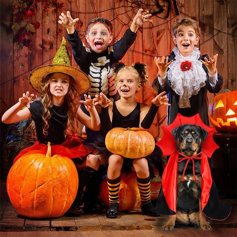 Halloween Pet Witch Cloak Costume