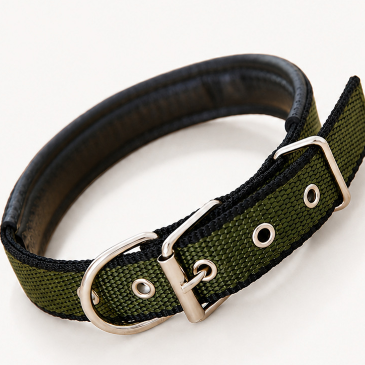 Adjustable Shock Absorption Pet Dog Collar