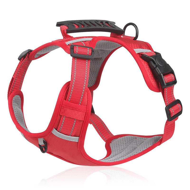 Adjustable Dog Harness and Leash Set