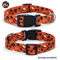Halloween pet collar