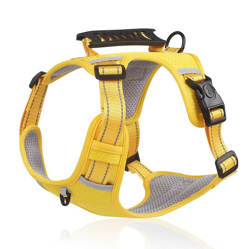 Adjustable Dog Harness and Leash Set