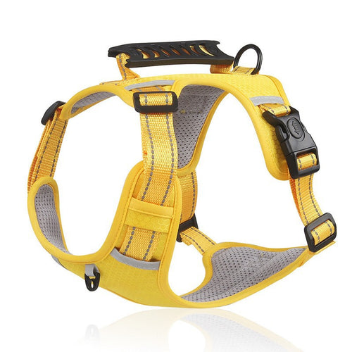 Adjustable Dog Harness and Leash Set