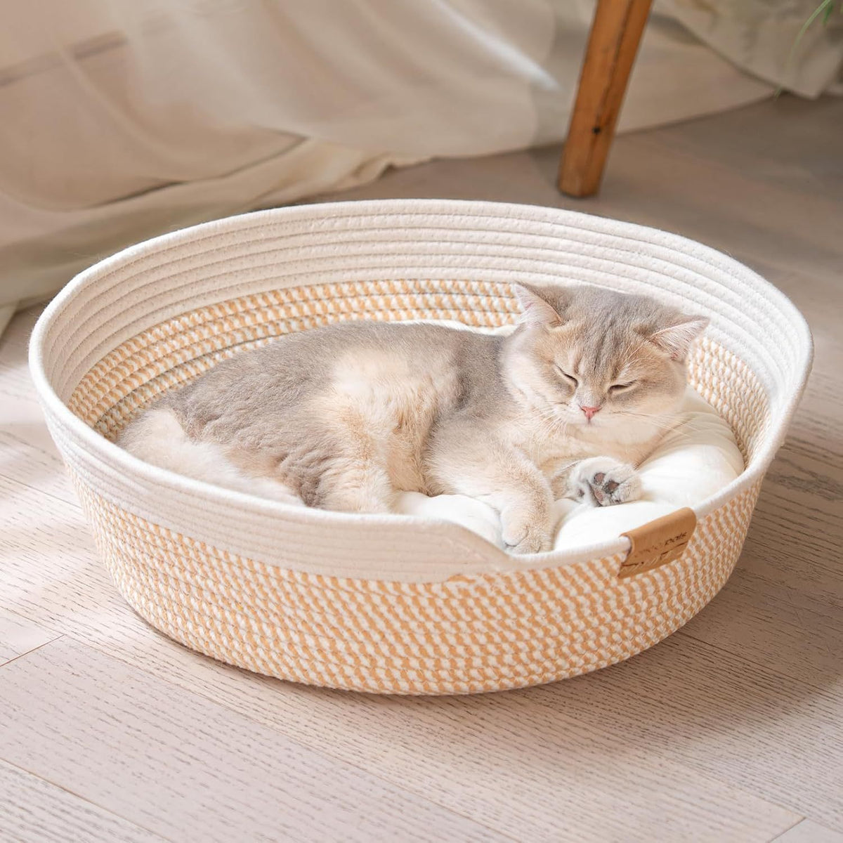 pet bed