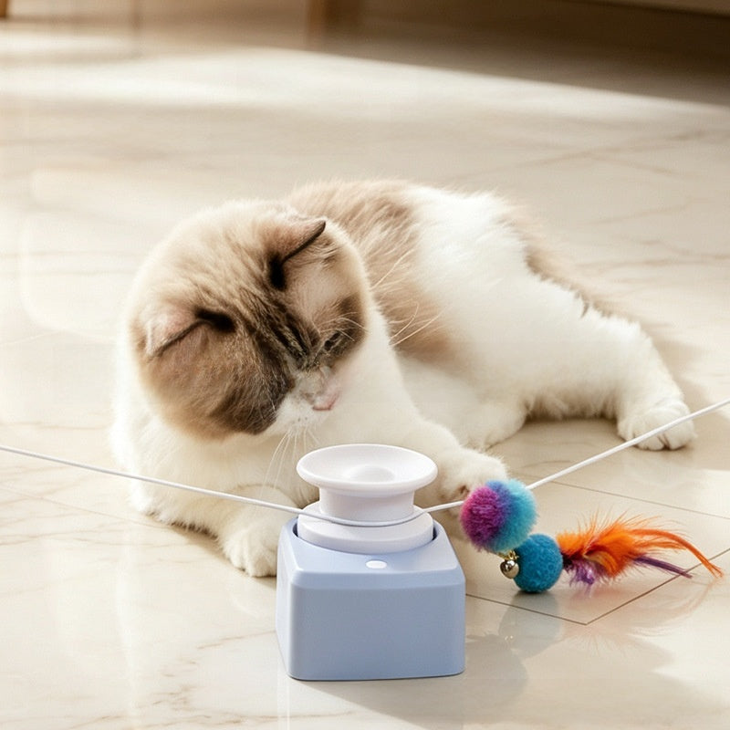 cat pet chaser
