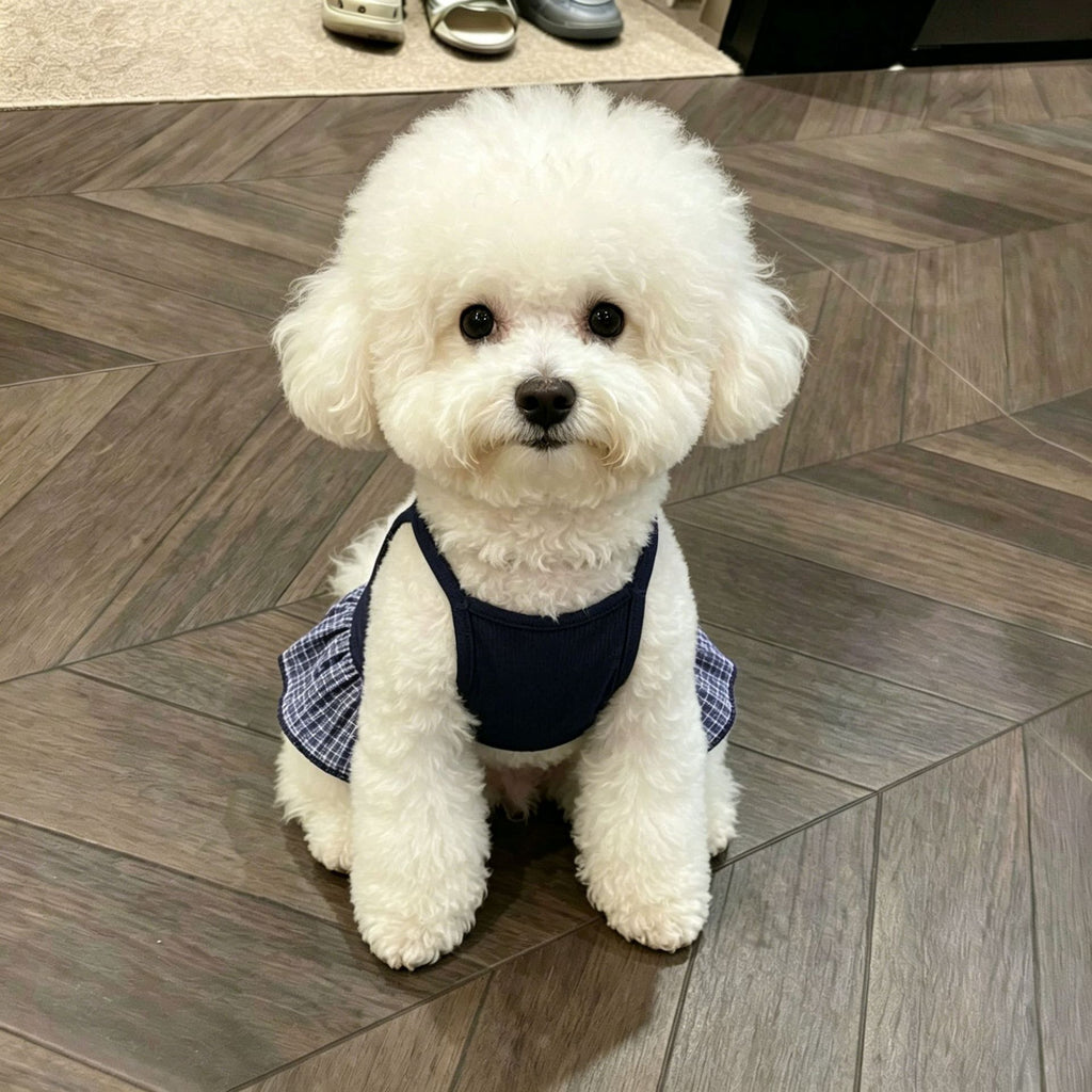 Pet Breathable Vest Dress