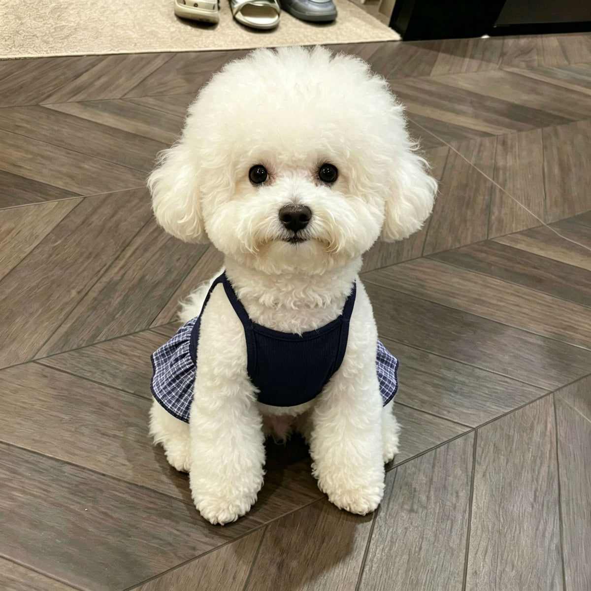 Pet Breathable Vest Dress