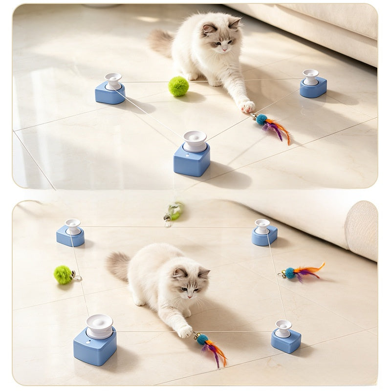cat pet chaser