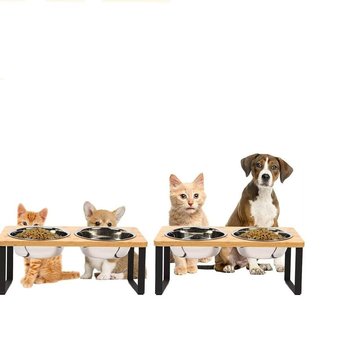 pet bowl cat bowl small dog bowl