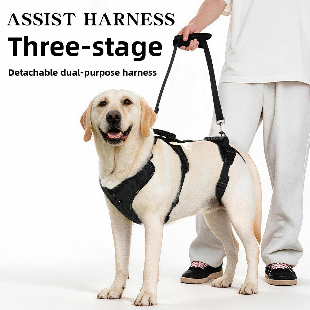Adjustable pet assist belt