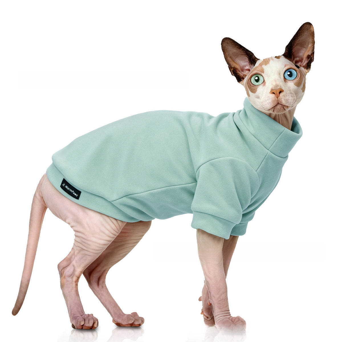 Pet Clothing
