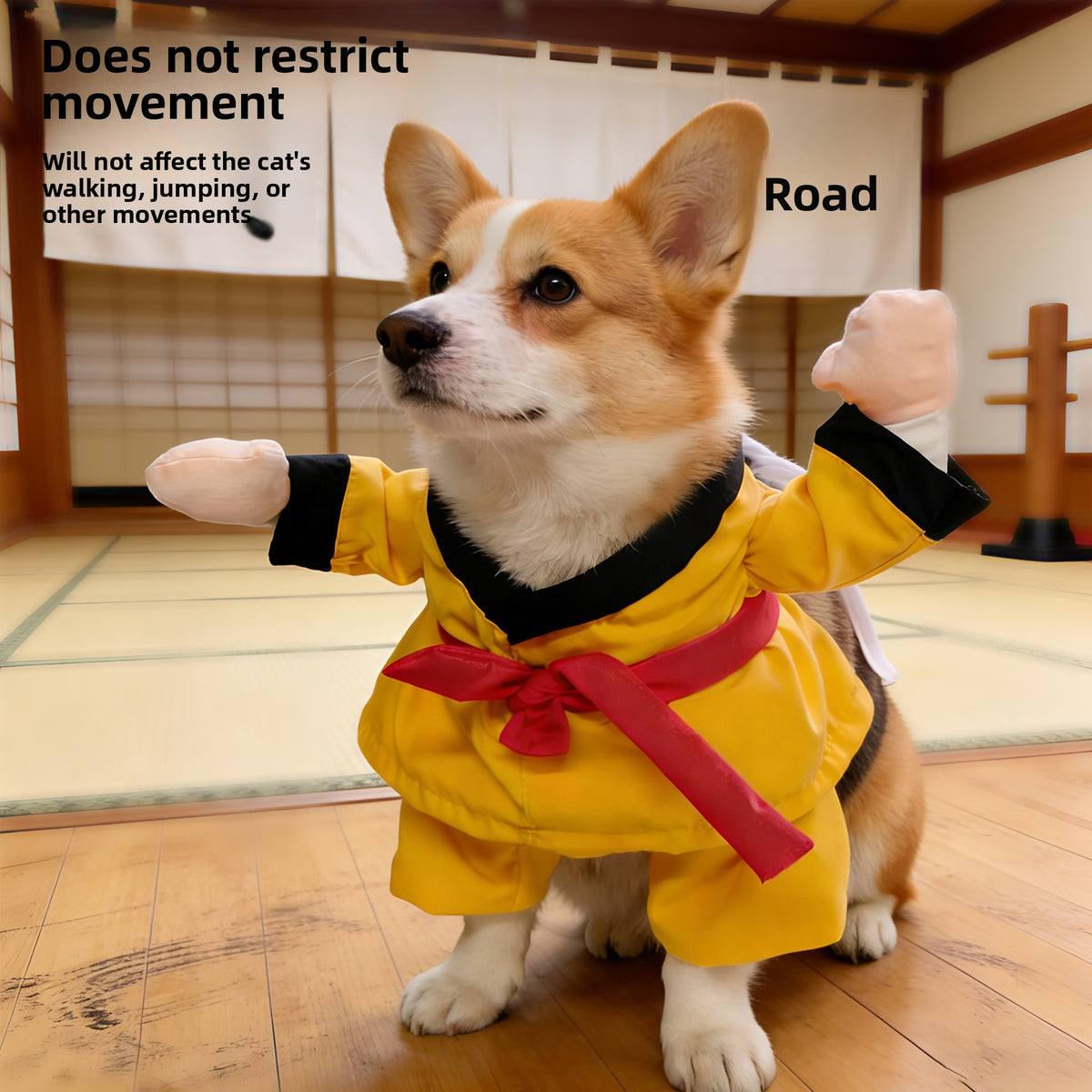 Funny Pet Halloween Costumes