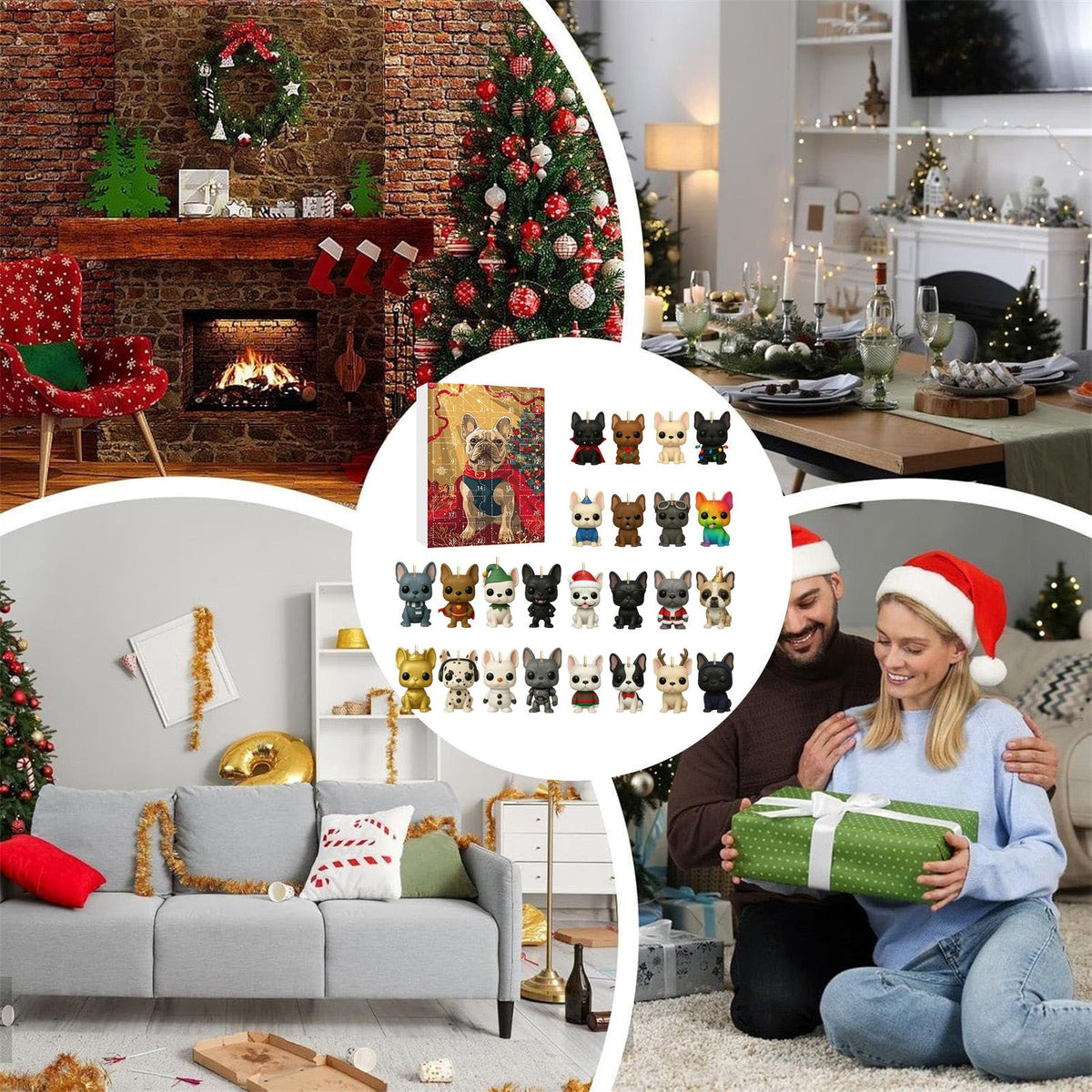 Pet dog arrives in the holiday calendar box