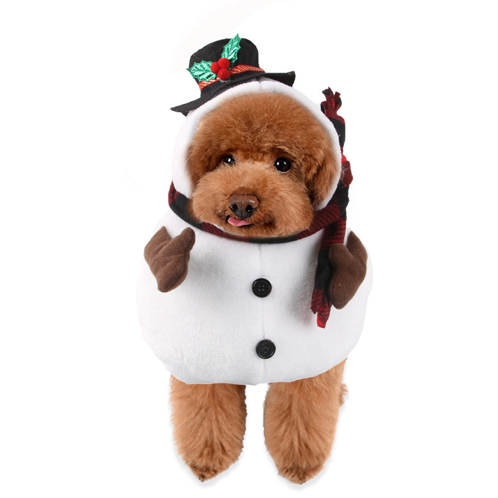 Pet Halloween Costume