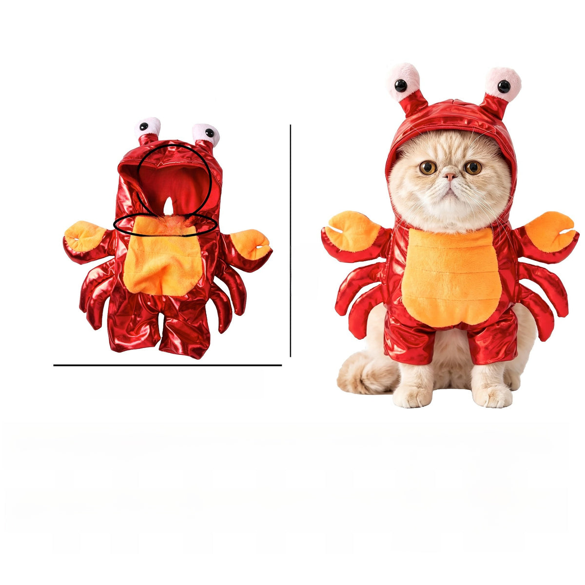 Pet Halloween Costume