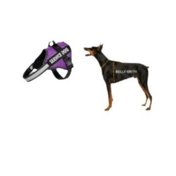 Reflective Dog Harness and Leash Set