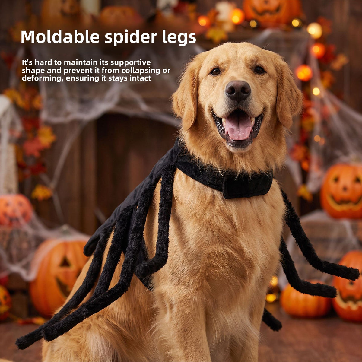 Pet Harness Costume
