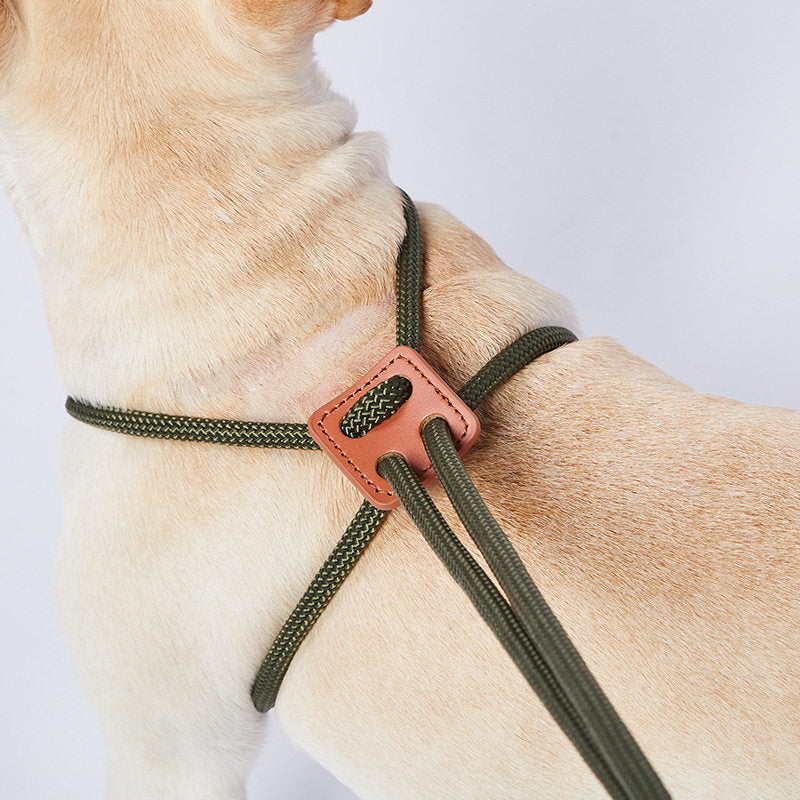 Adjustable Dog Harness and Leash for Walking