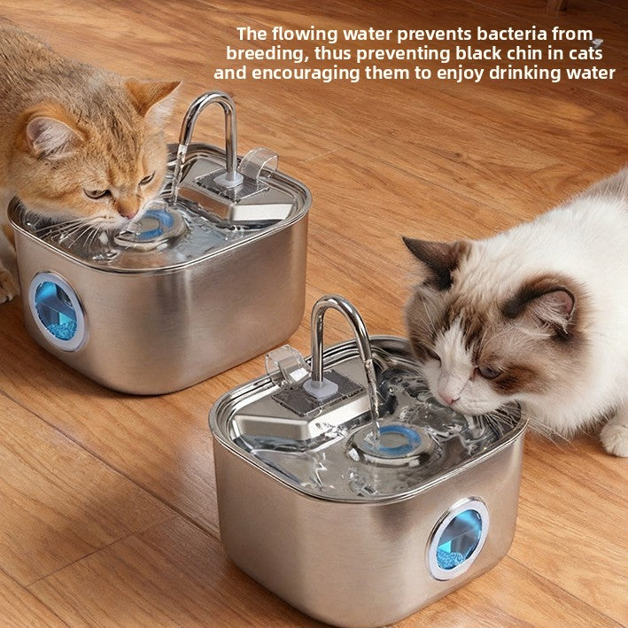 Automatic Pet Water Fountain with Filtration System
