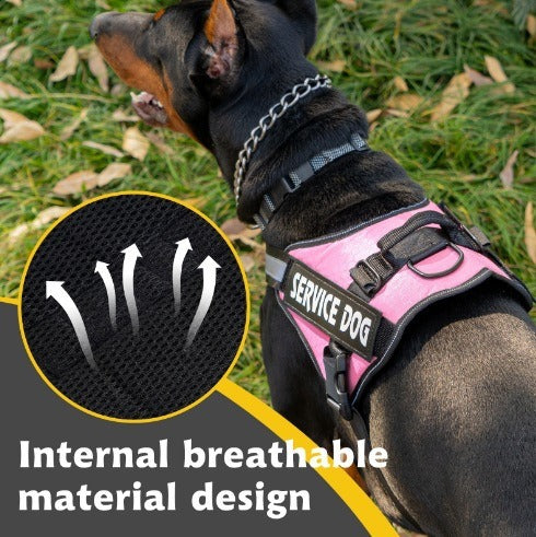 Reflective Dog Harness and Leash Set