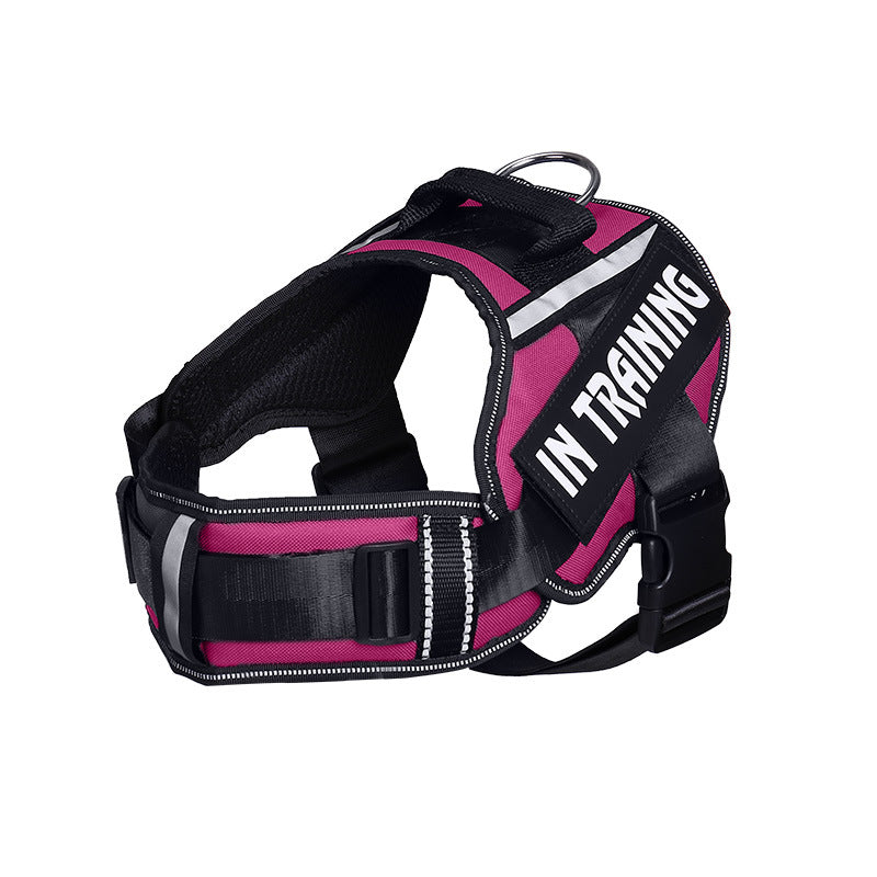 Reflective Adjustable Dog Harness and Leash Set