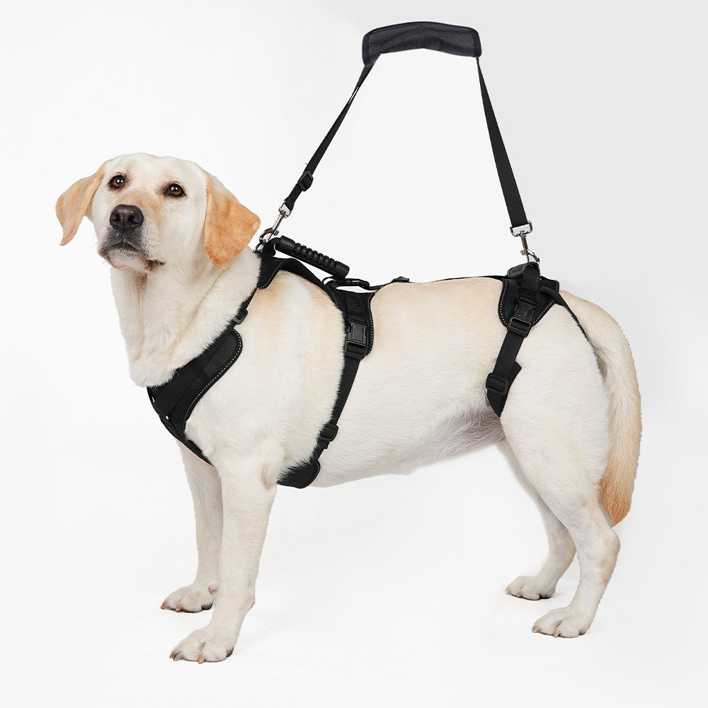 Adjustable pet assist belt