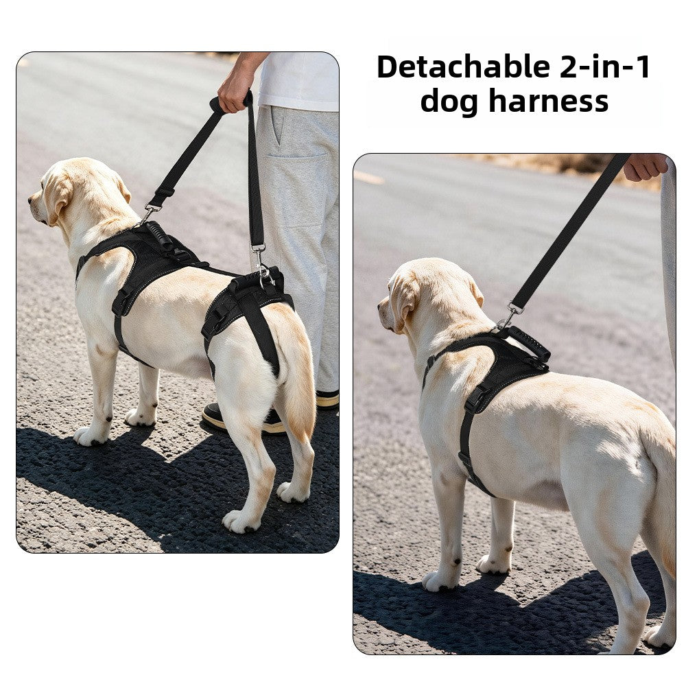 Adjustable pet assist belt