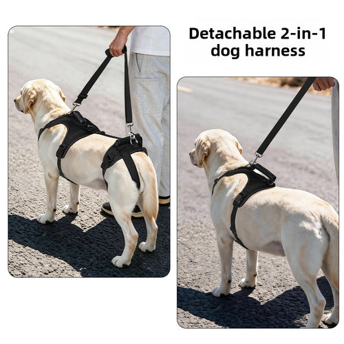 Adjustable pet assist belt