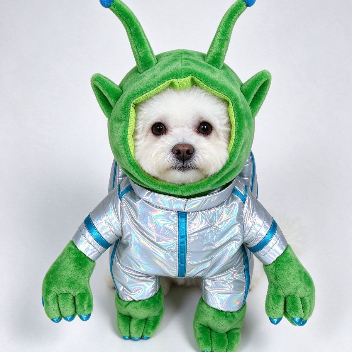 Pet clothing