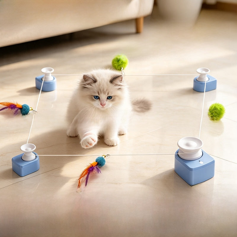 cat pet chaser