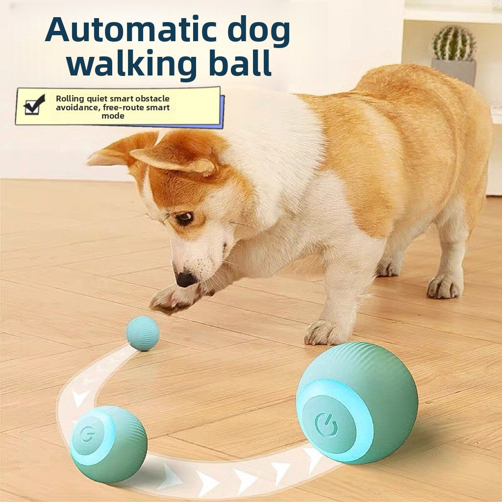 Pet Cat Toy Intelligent Rolling Ball Bite-resistant Fun Toy