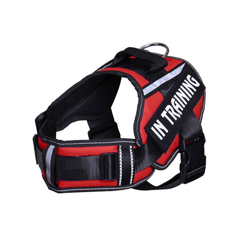 Reflective Adjustable Dog Harness and Leash Set