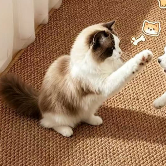 Pet Sisal Loop Pile Floor Mat