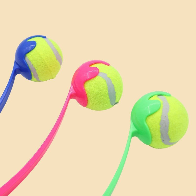Pet Ball Throwing Rod Training Toy