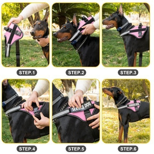 Reflective Dog Harness and Leash Set