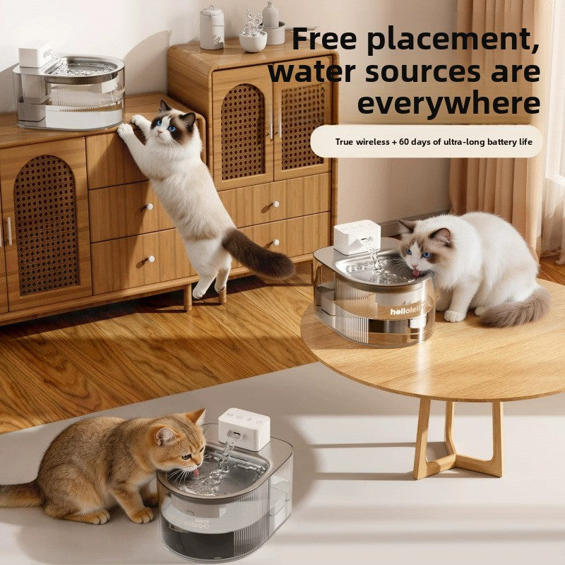 pet water dispenser