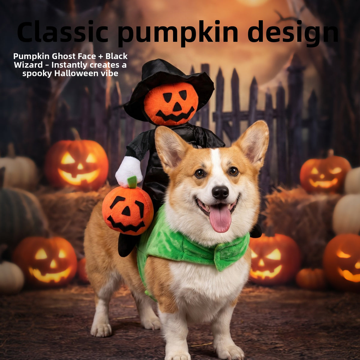 Halloween Pumpkin Knight Pet Costume