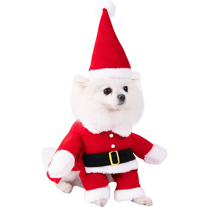 Funny Pet Halloween Costume Dress