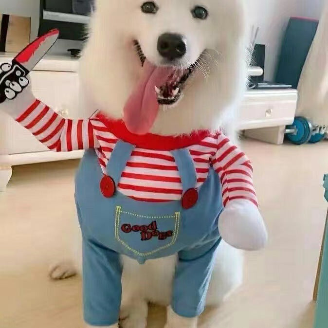 Pet costume