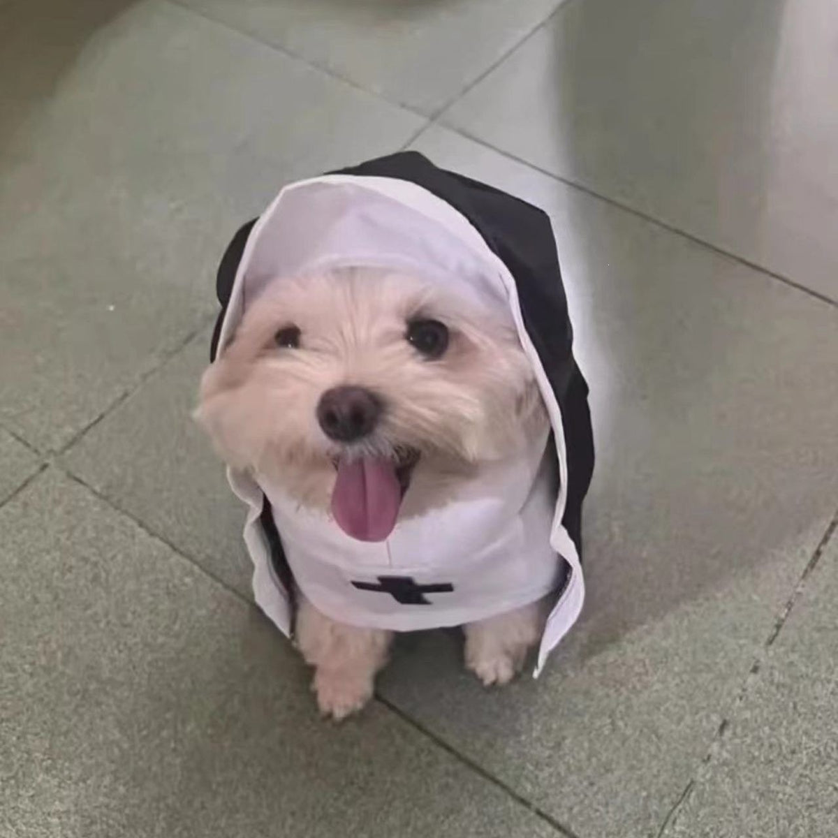 Gothic Pet Nun Costume Halloween Cloak