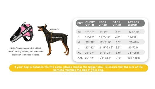 Reflective Dog Harness and Leash Set